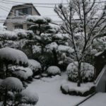 大阪も大雪！クローン病に負けず外に出て雪と戯れる-クローン病 日常110211